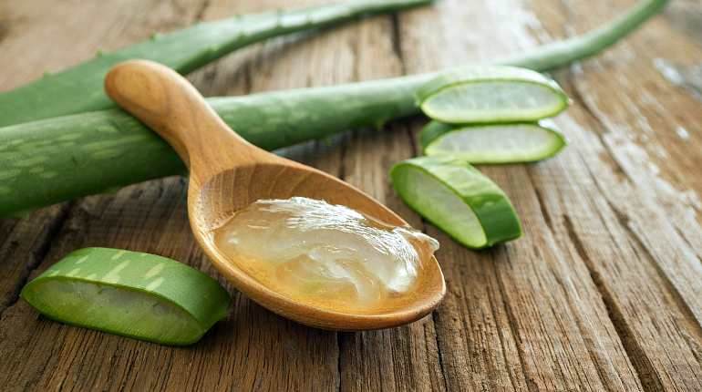 Алоэ