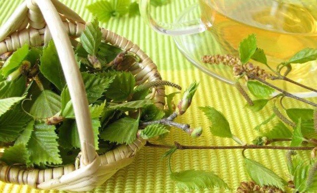 Чем полезна береза для волос