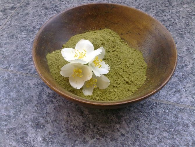 Хна для волос - польза или вред?