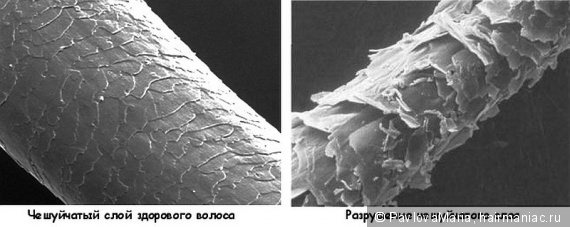 Как ухаживать за пористыми волосами?
