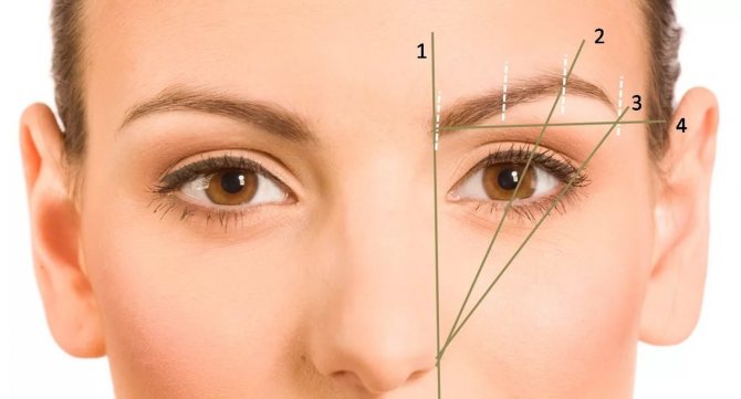 Моделирование бровей для создания идеальной формы