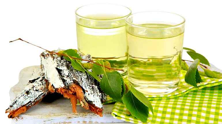 Отвар коры березы