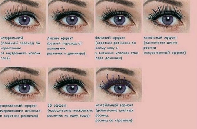 Разнообразие