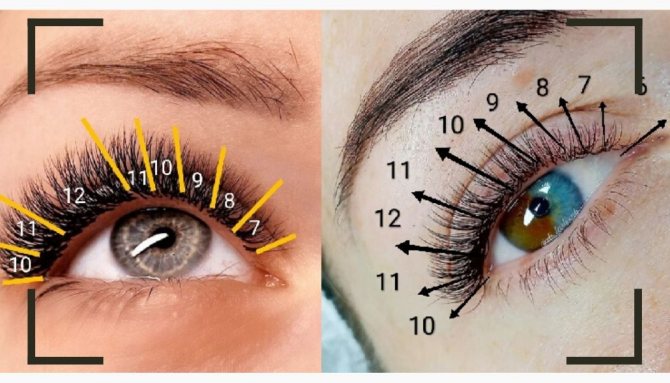 схемы наращивания ресниц классика