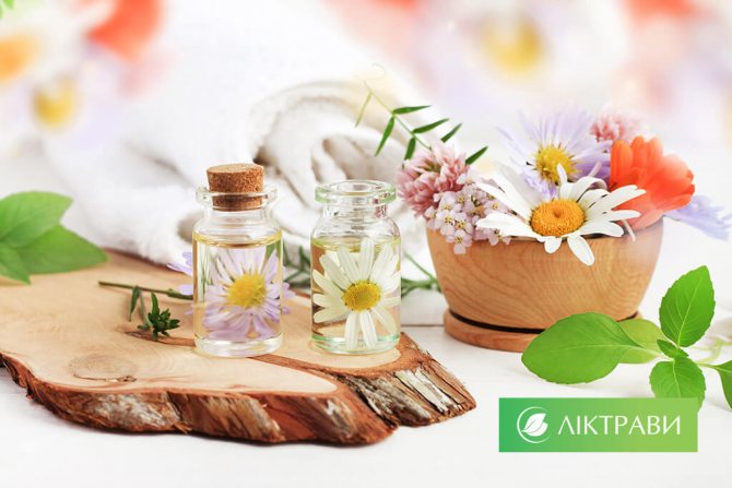 травы для сухих волос