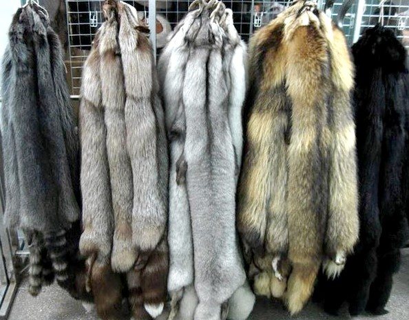 Как делают шубы из натурального меха?
